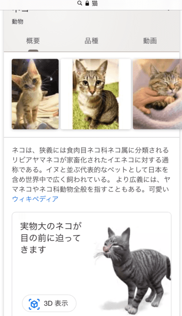 Arの猫の出し方は できない時の対象方法 おすすめのアプリ2選 Arマーケティングラボ