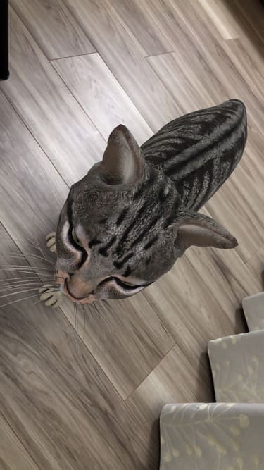 3Dで登場した猫