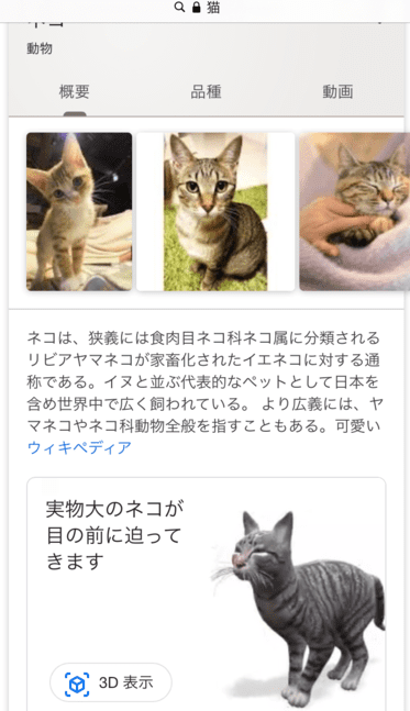 Googleでの猫の検索結果