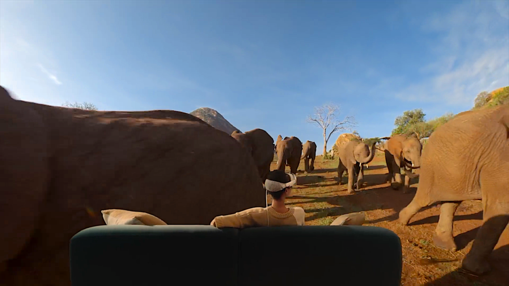 Apple Vision Pro｜2D／3D動画、180度・360度ビデオ、空間ビデオ、Apple Immersive Videoの特徴と活用法